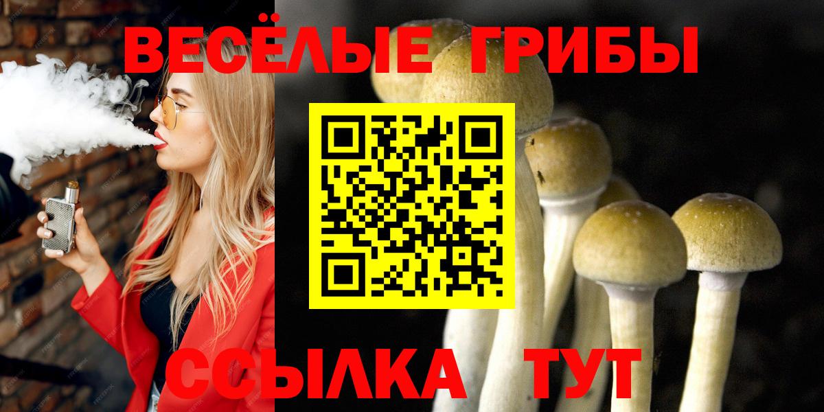 Псилоцибиновые грибы Cubensis Протвино
